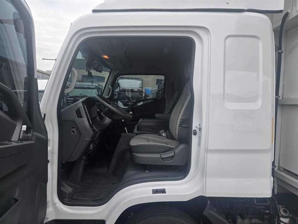 medium and large cargo truck - Vista 12