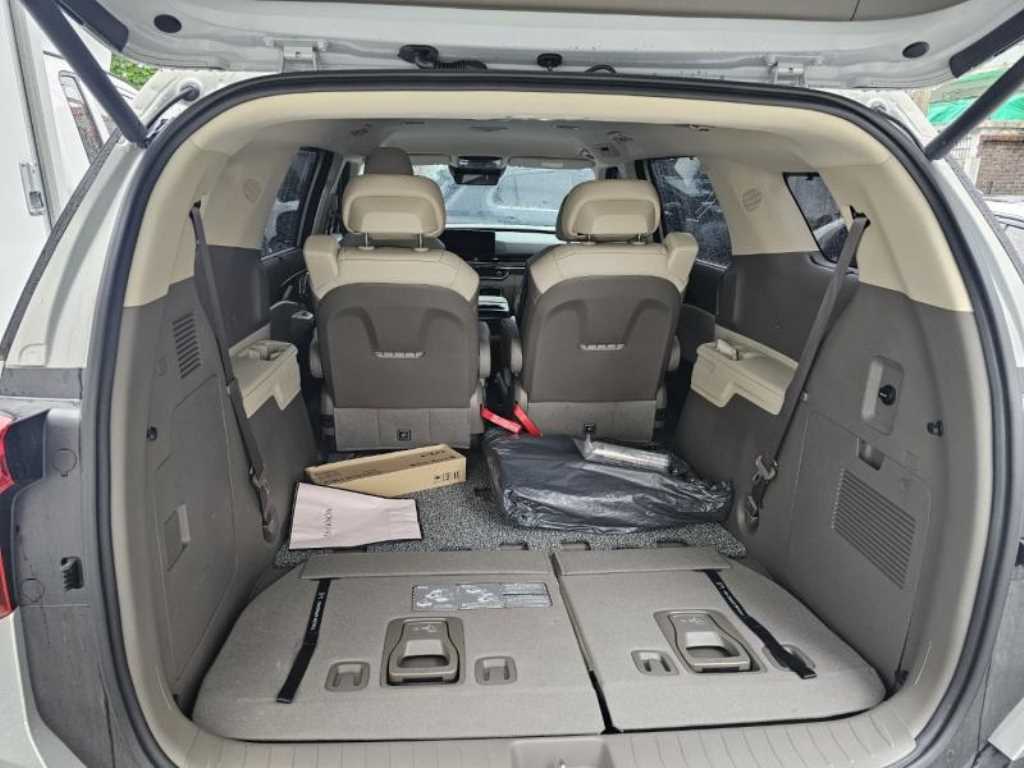 KIA Carnival - Vista 6