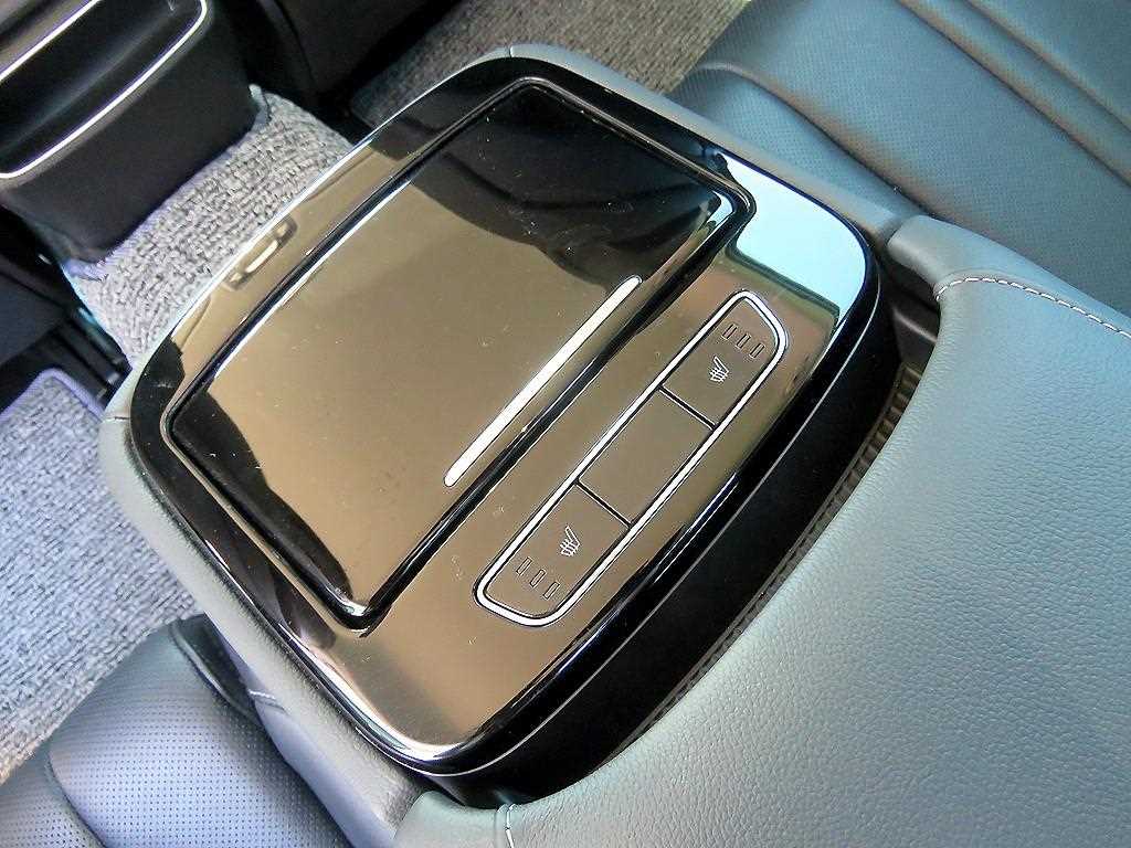 Genesis G80 - Vista 10