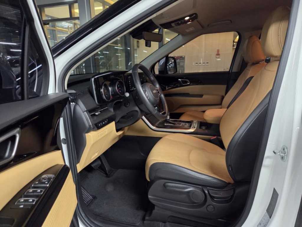 KIA Carnival - Vista 8