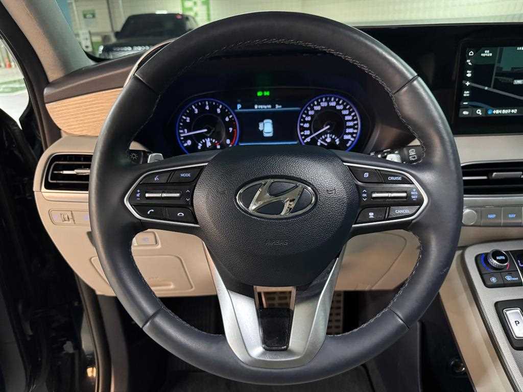 HYUNDAI Palisade - Vista 10