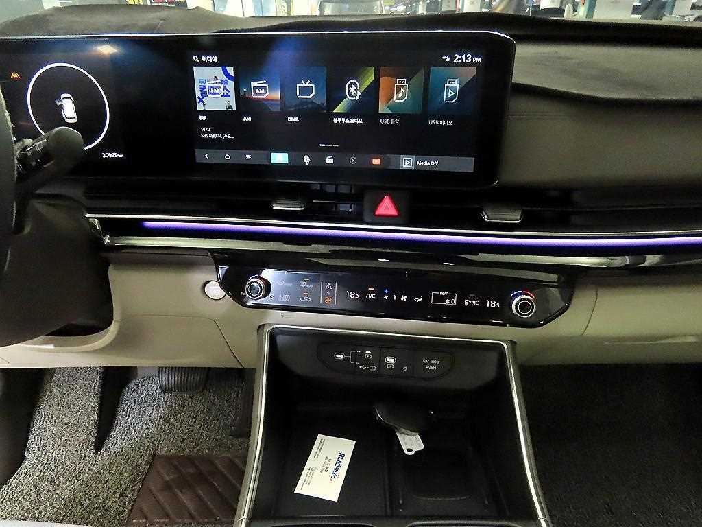 KIA Carnival - Vista 11
