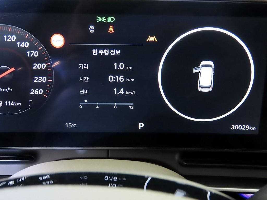 KIA Carnival - Vista 9