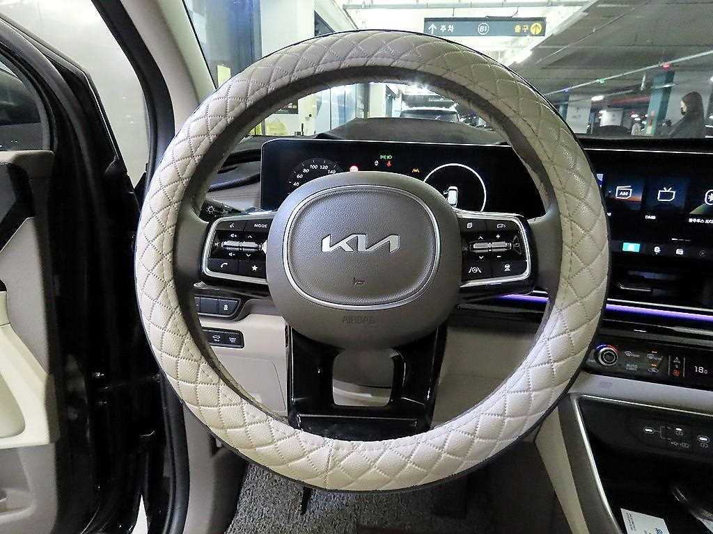 KIA Carnival - Vista 8