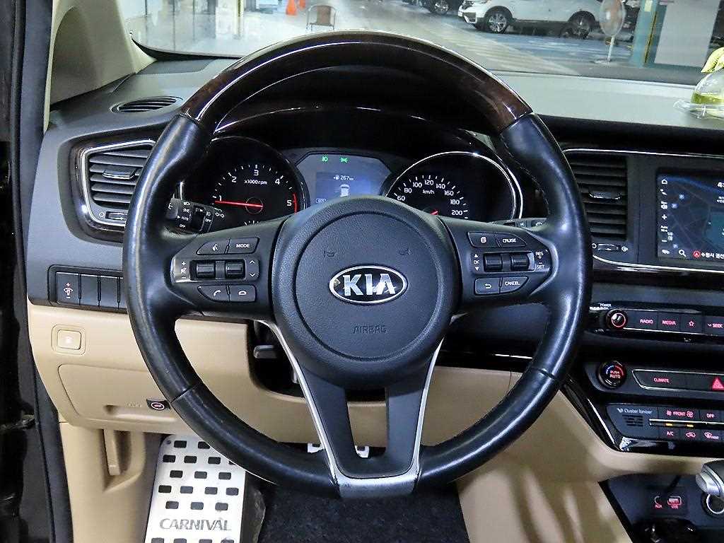 KIA Carnival - Vista 8