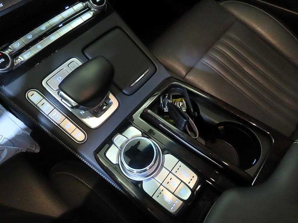 Genesis G90 - Vista 12