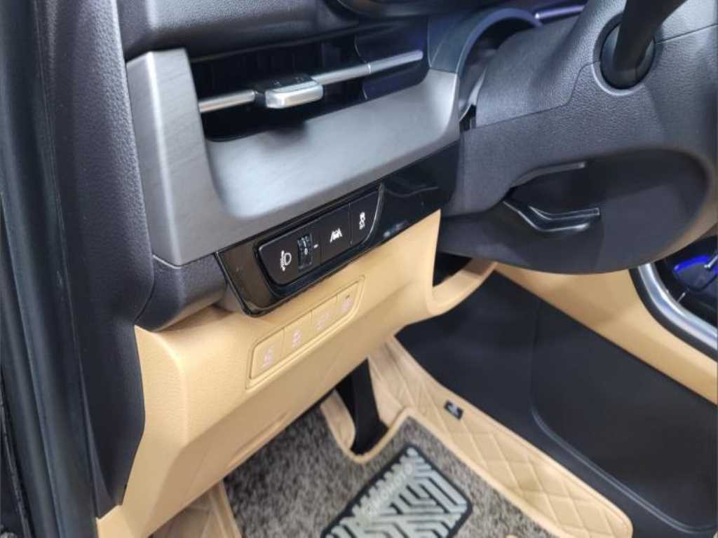 KIA Carnival - Vista 11