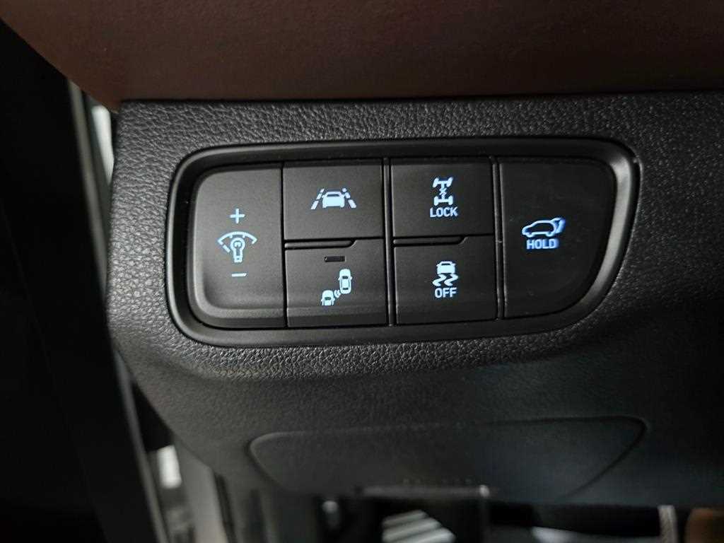 HYUNDAI Santa Fe - Vista 12