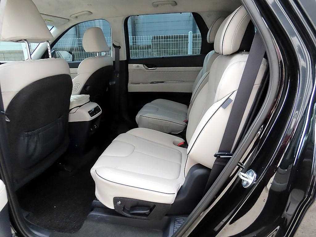 HYUNDAI Palisade - Vista 6