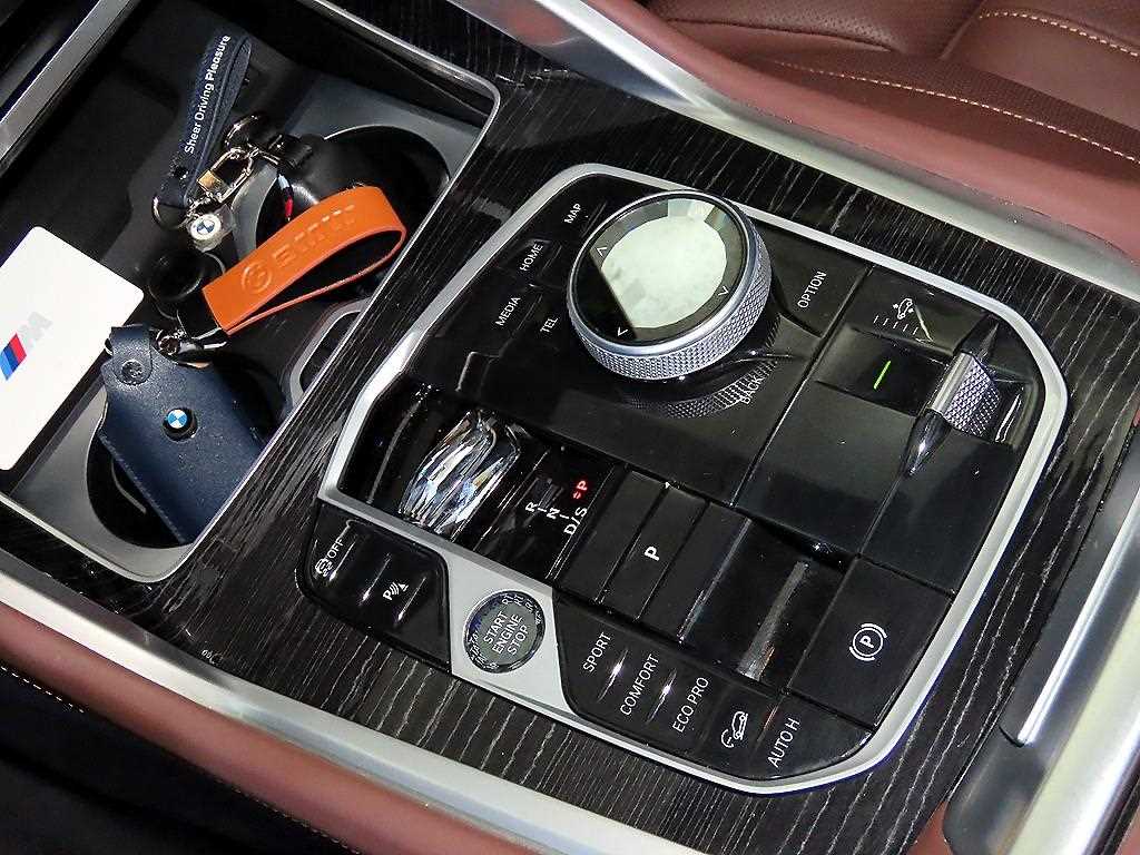 BMW X6 - Vista 12