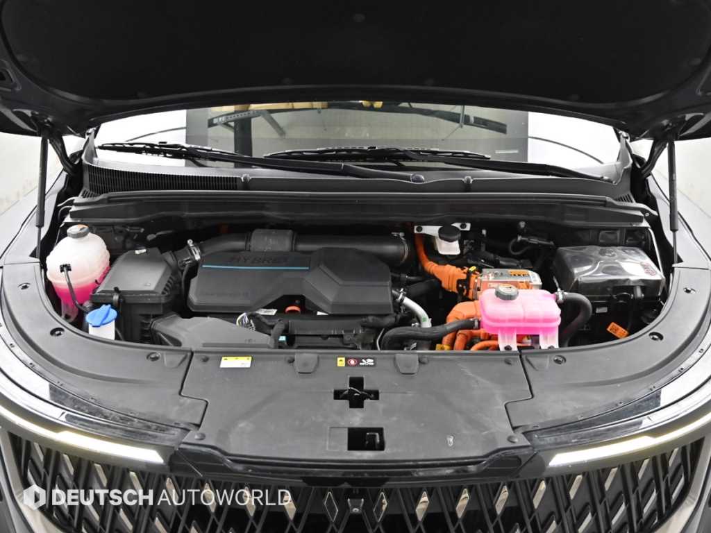 KIA Carnival - Vista 6