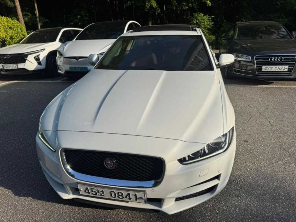 Jaguar XE 2016 Blanco - Importación desde Corea - HF Imports Iquique - Foto 1