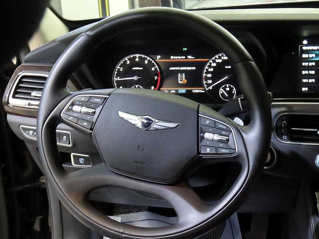 Genesis G90 - Vista 8