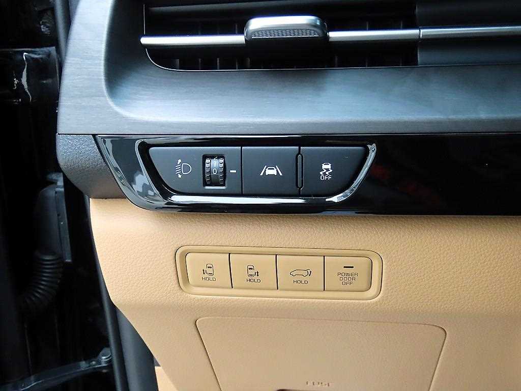 KIA Carnival - Vista 12