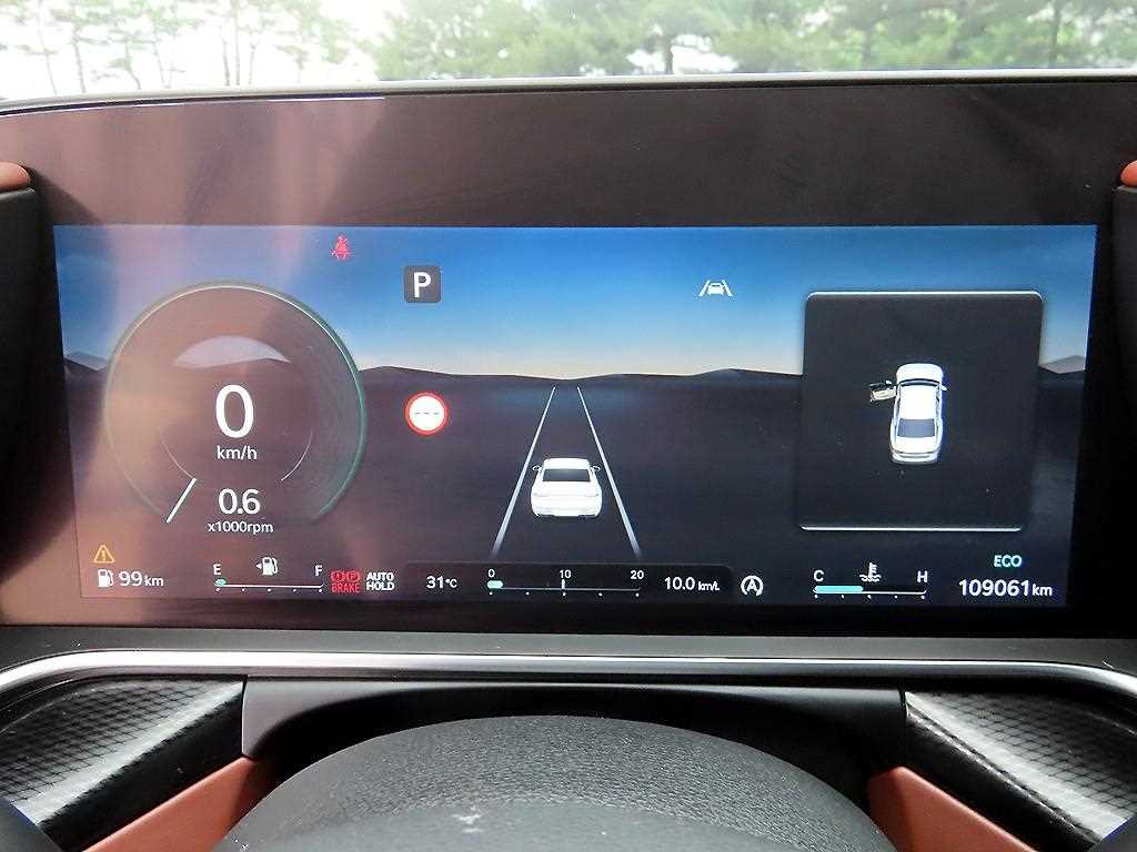 Genesis G90 - Vista 9