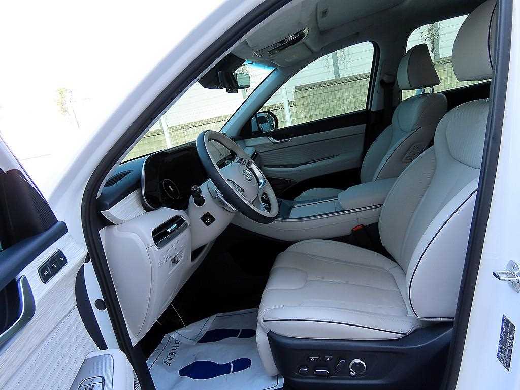 HYUNDAI Palisade - Vista 5