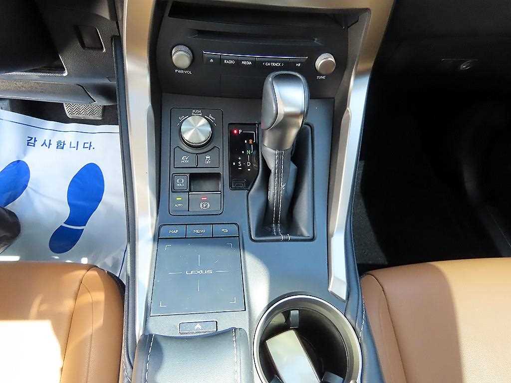 Lexus NX - Vista 10