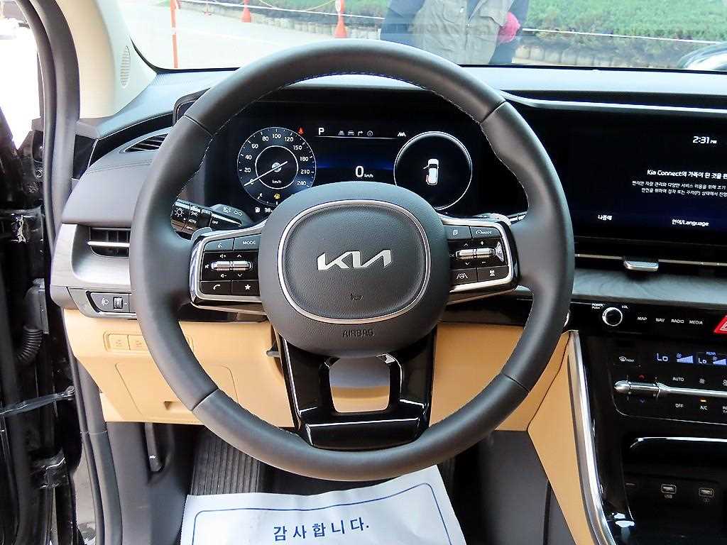 KIA Carnival - Vista 9