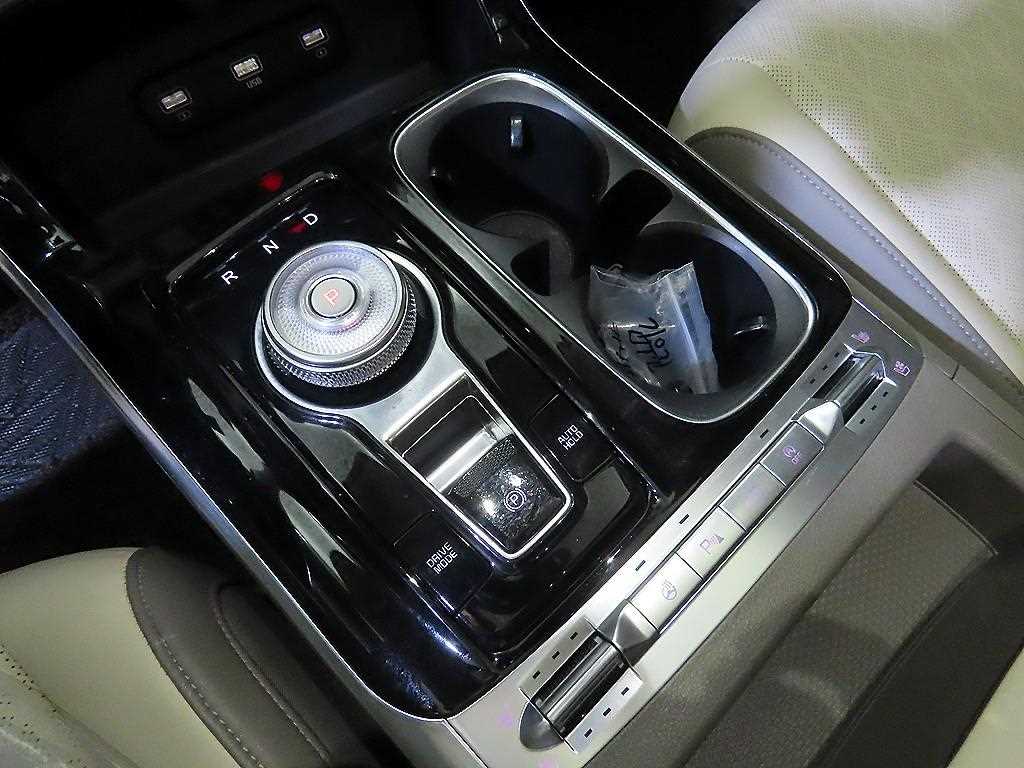 KIA Carnival - Vista 12