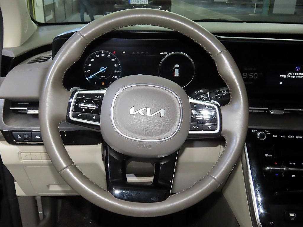 KIA Carnival - Vista 8