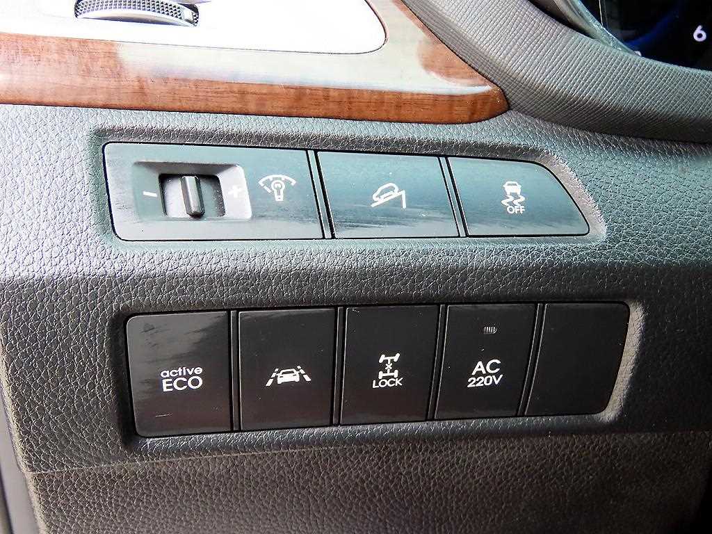 HYUNDAI Maxcruz - Vista 12