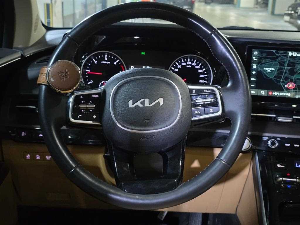 KIA Carnival - Vista 9