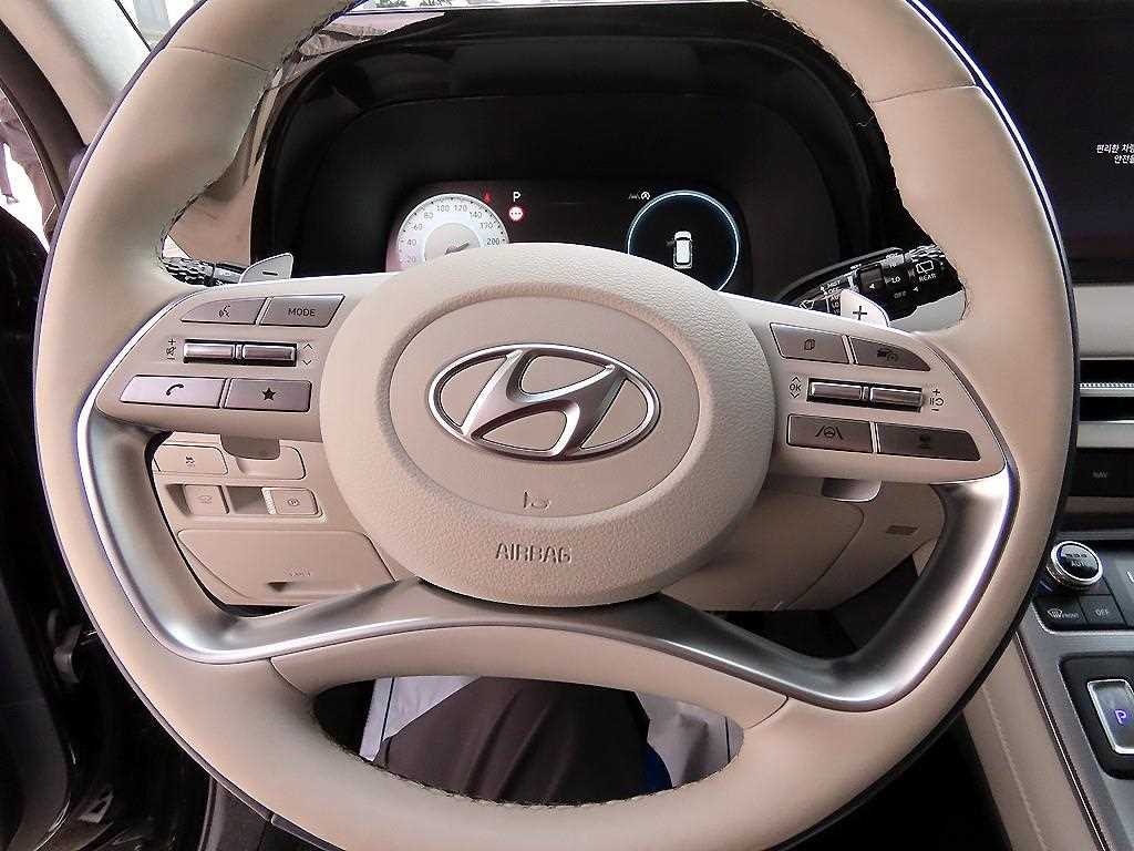 HYUNDAI Palisade - Vista 8