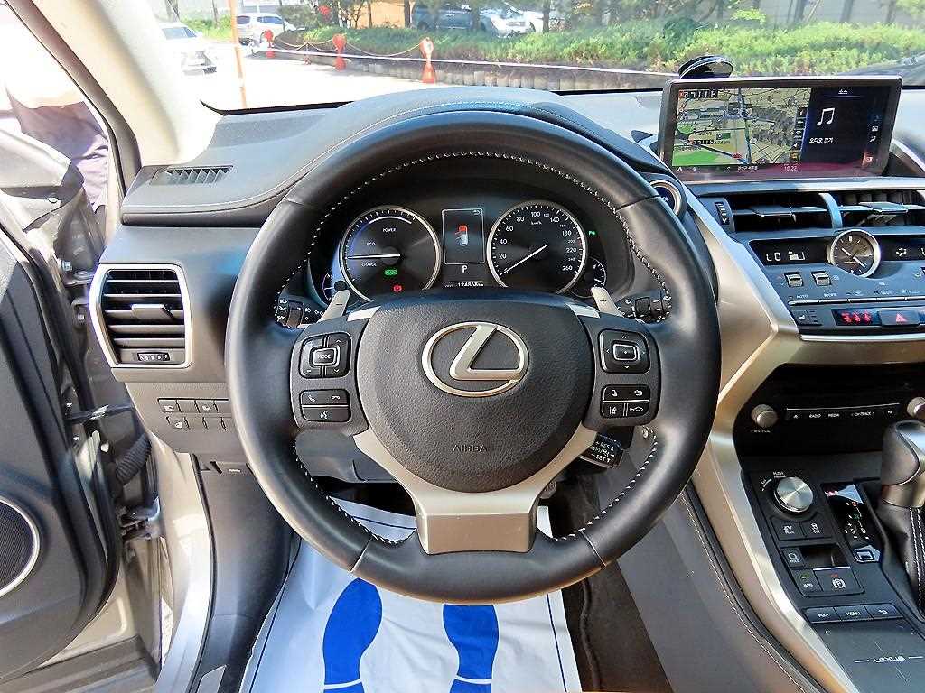 Lexus NX - Vista 8