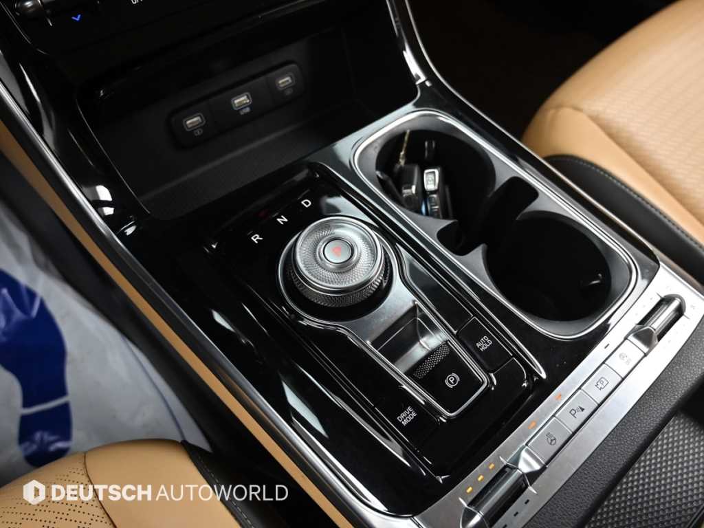 KIA Carnival - Vista 9