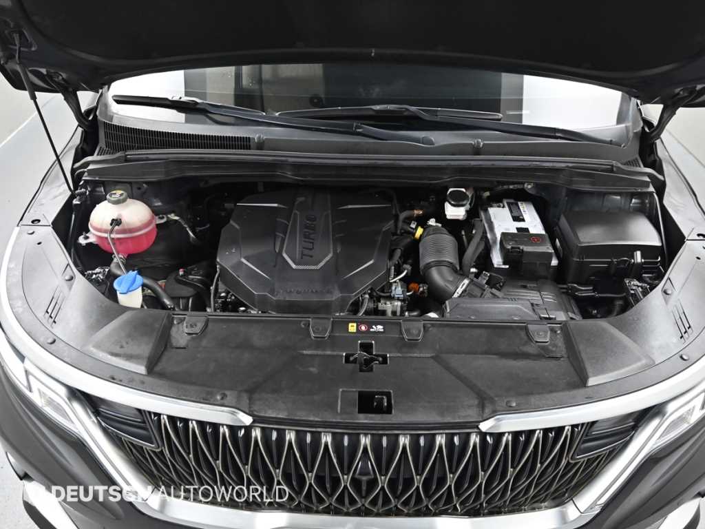KIA Carnival - Vista 6