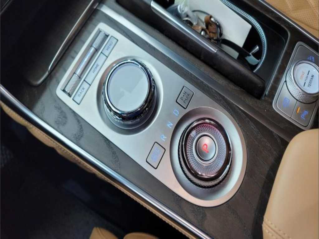 Genesis GV80 - Vista 10