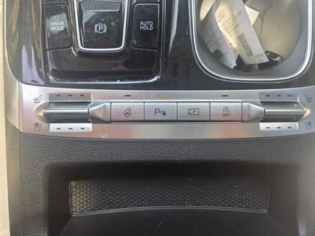 KIA Carnival - Vista 8