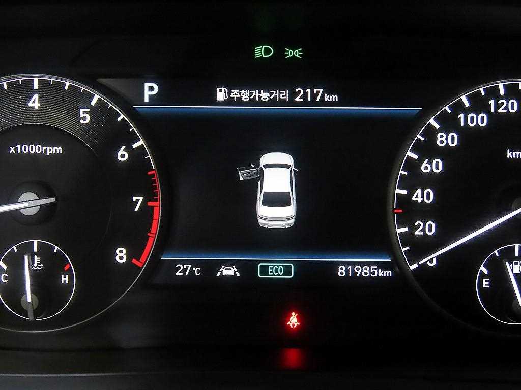 Genesis G90 - Vista 9