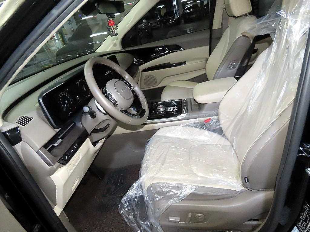 KIA Carnival - Vista 6