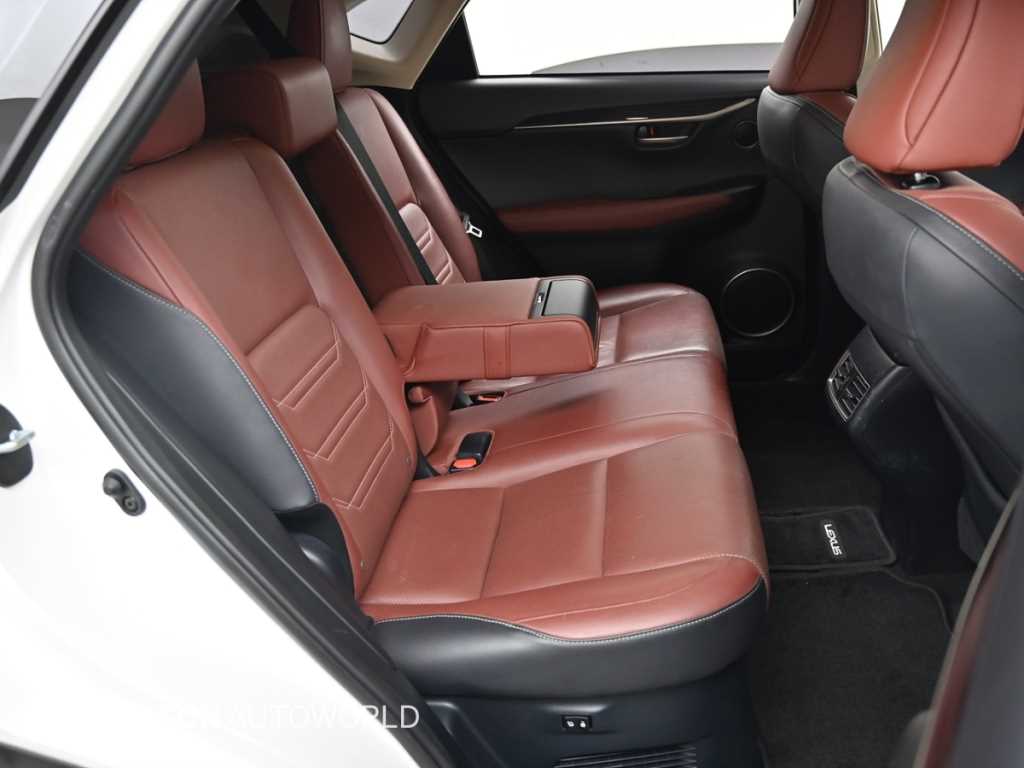 Lexus NX - Vista 12