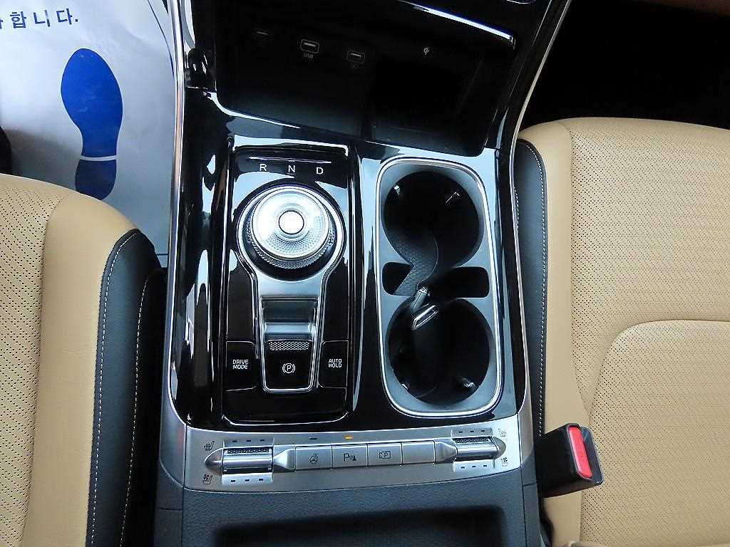 KIA Carnival - Vista 11