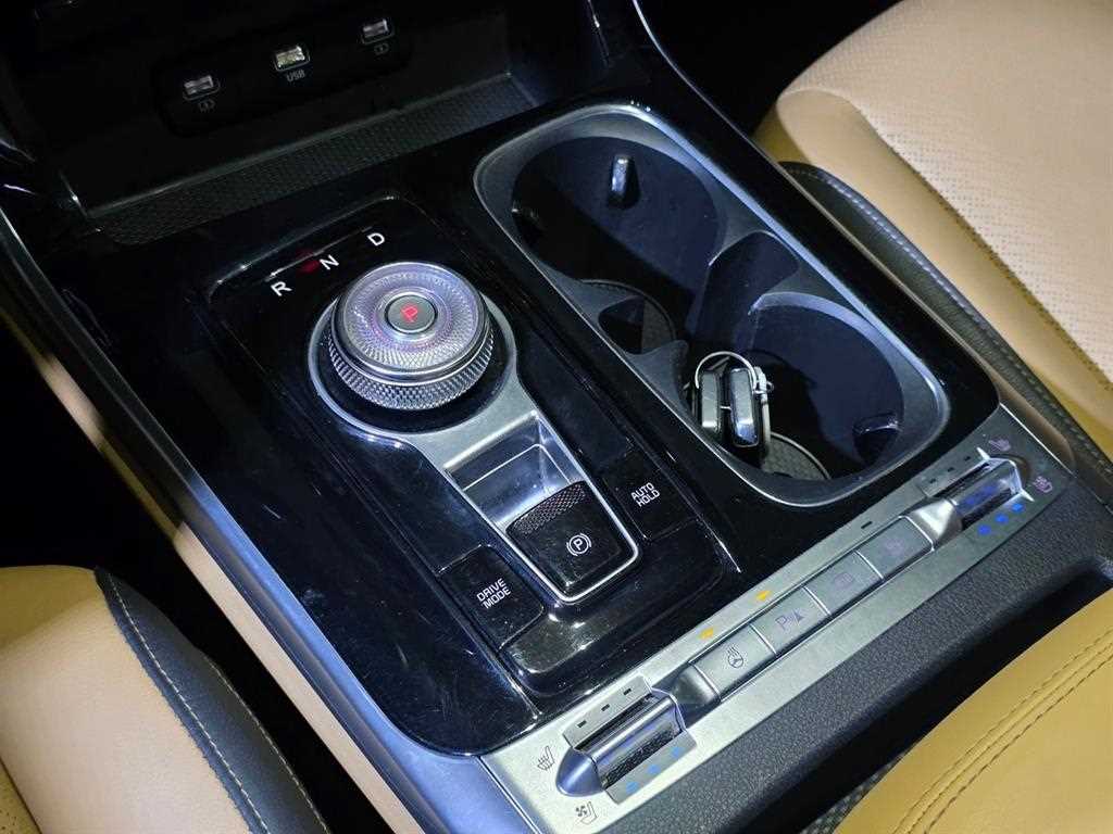 KIA Carnival - Vista 12