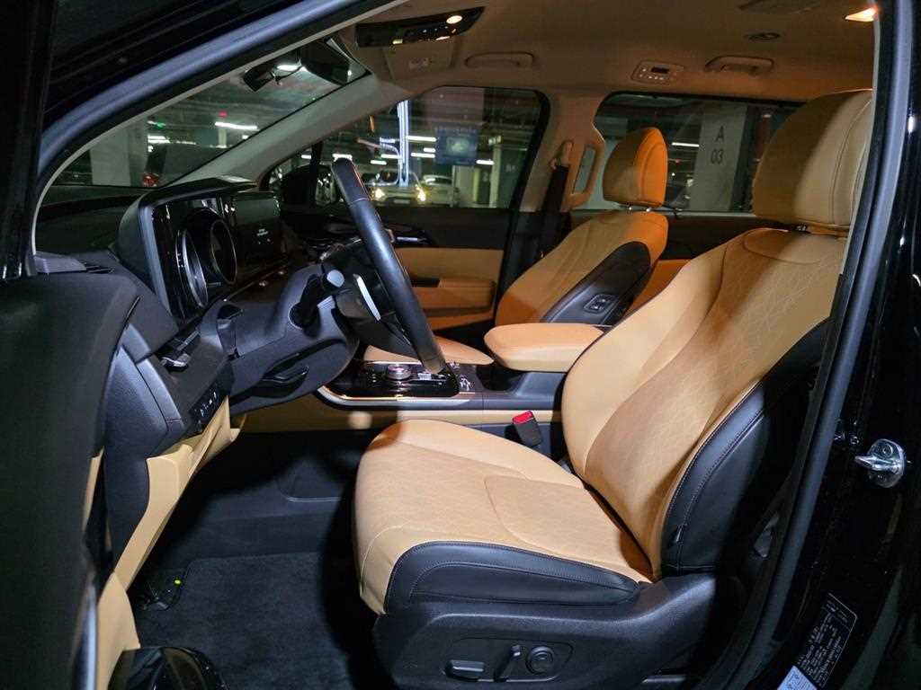 KIA Carnival - Vista 6