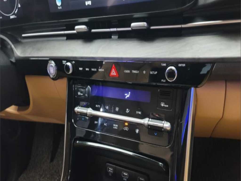KIA Carnival - Vista 8