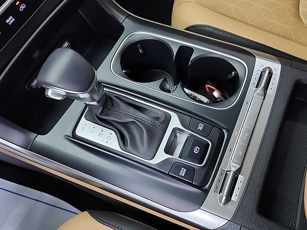 KIA Carnival - Vista 8