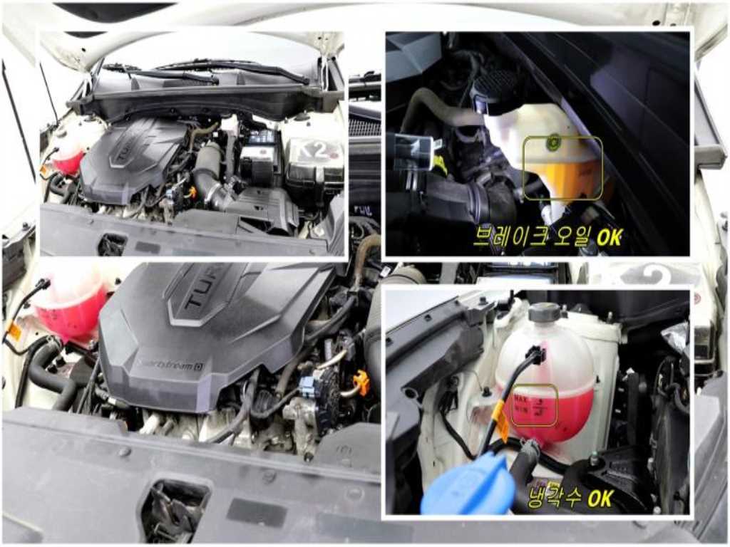 KIA Sportage 2023 - Importación desde Corea - HF Imports Iquique - Foto 18