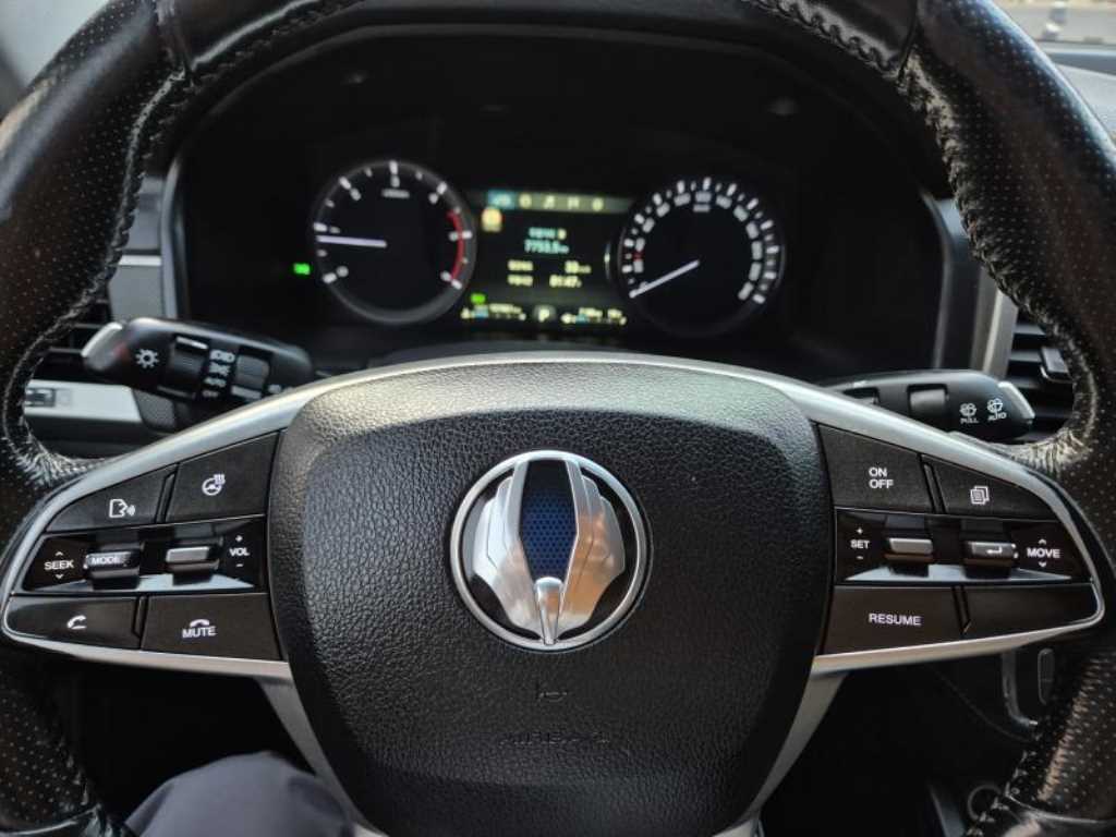 Ssangyong Rexton - Vista 12