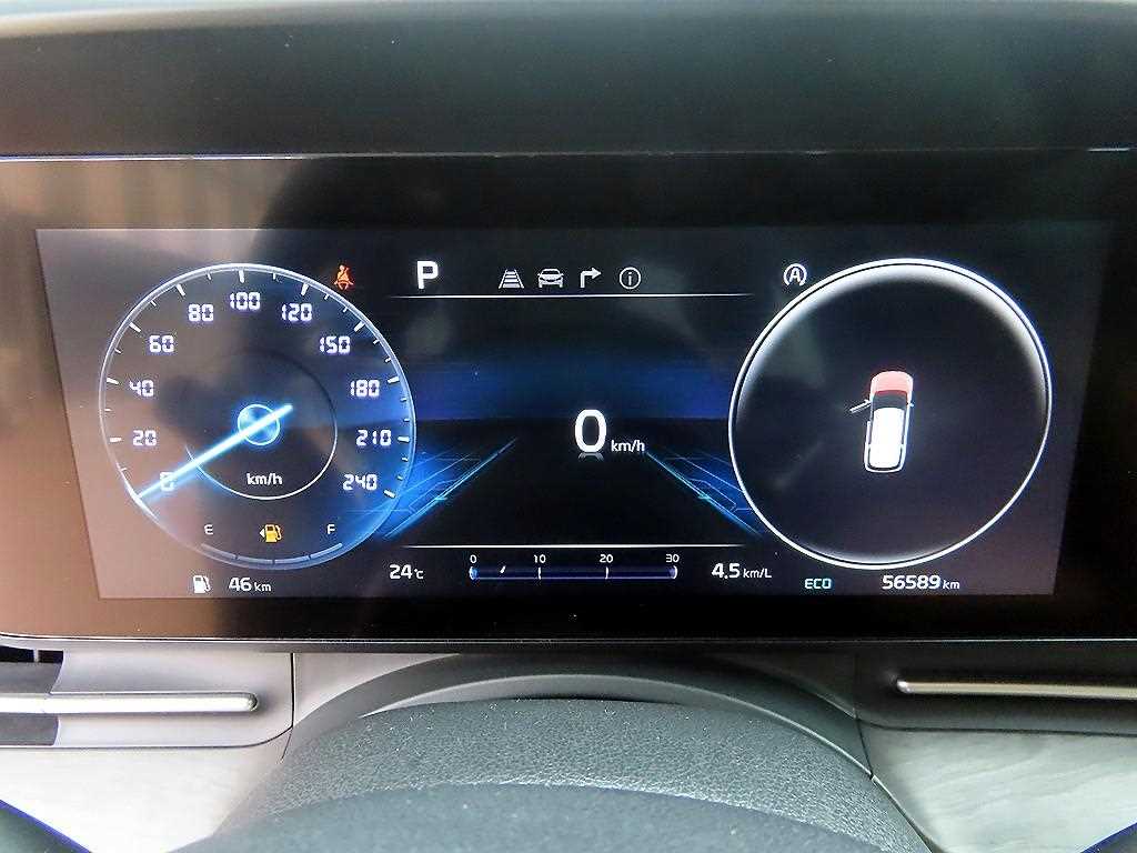 KIA Carnival - Vista 10