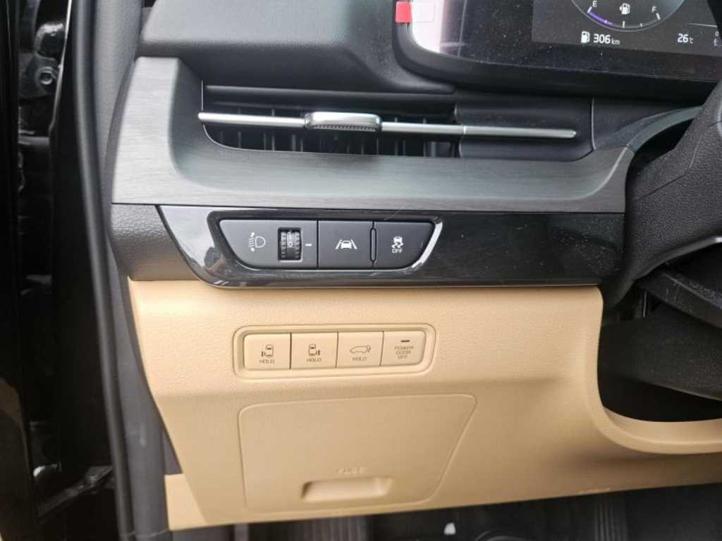 KIA Carnival - Vista 11