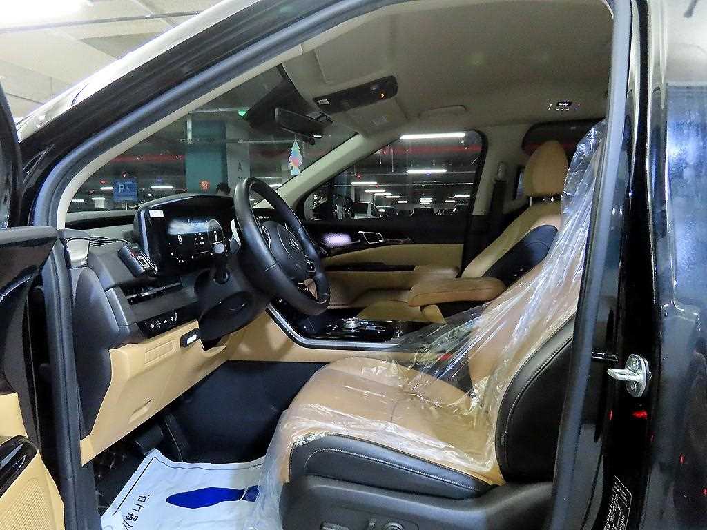 KIA Carnival - Vista 6