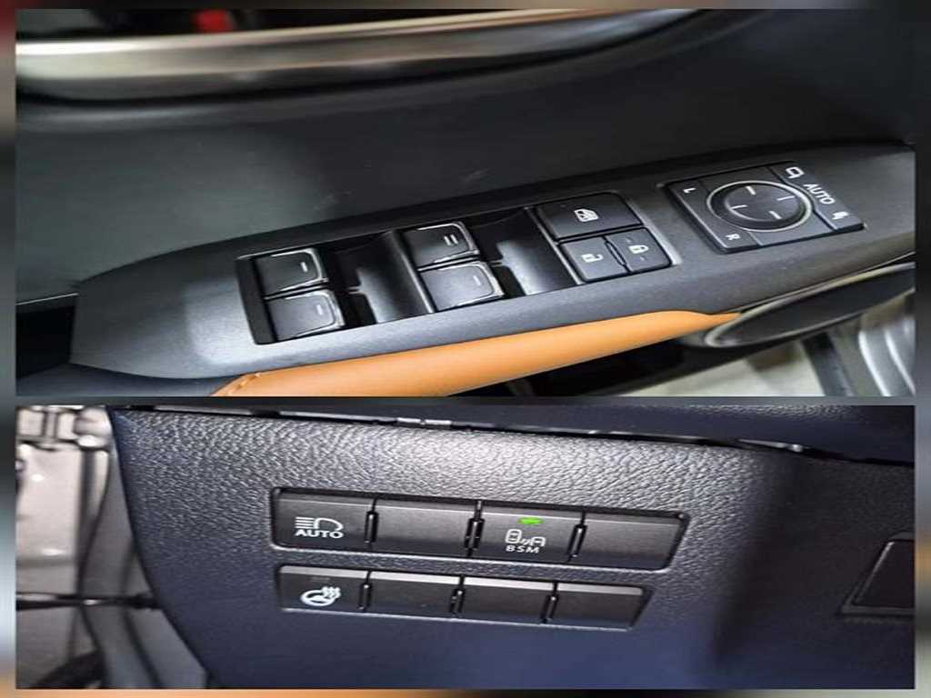 Lexus NX - Vista 12