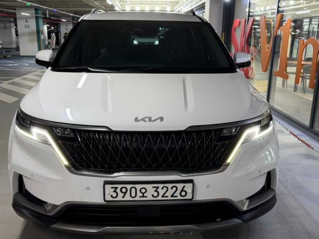 KIA Carnival - Vista 2