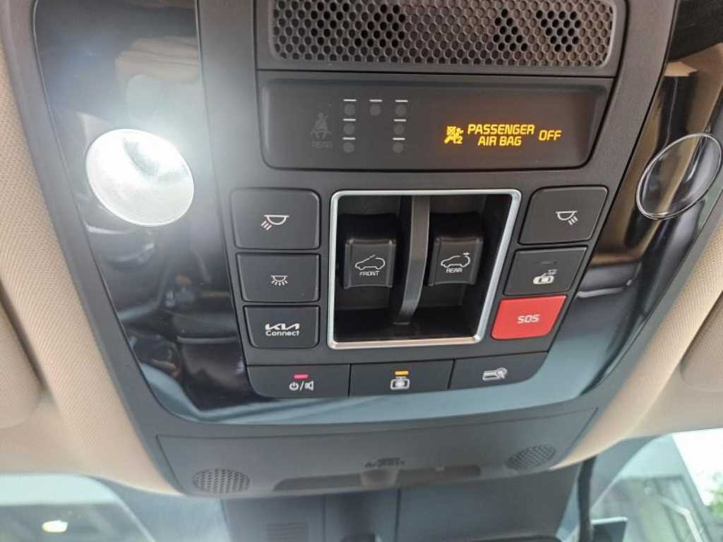 KIA Carnival - Vista 12