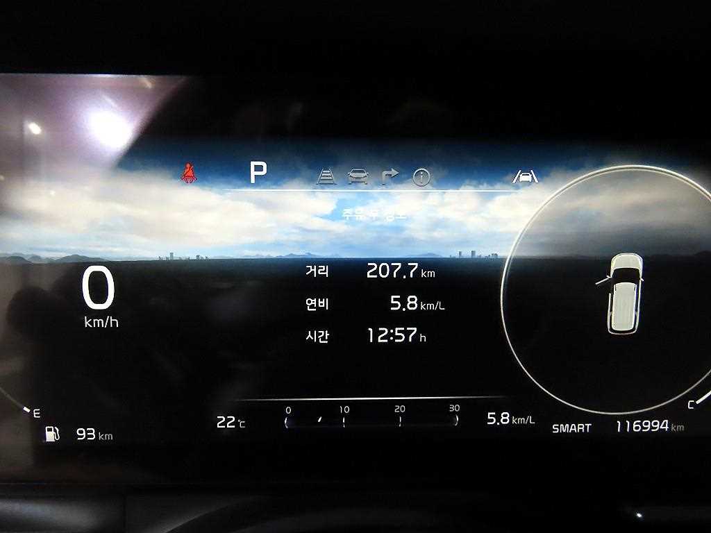 KIA Carnival - Vista 10