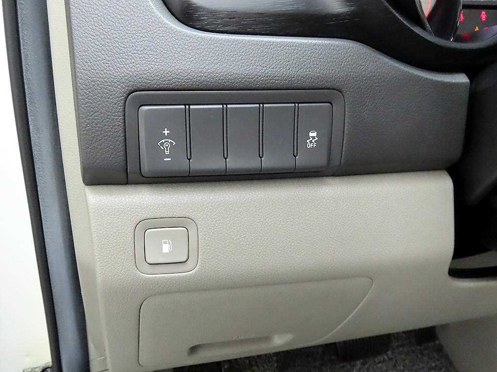 KIA Carnival - Vista 12